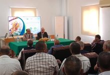 الزراعة تطلق تدريبًا وطنيًا لمكافحة الجراد الصحراوي بالتعاون مع الفاو