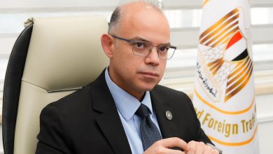 مصر تبحث جذب استثمارات صينية