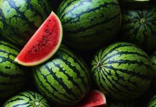 تسمم البطيخ