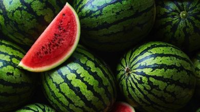 تسمم البطيخ