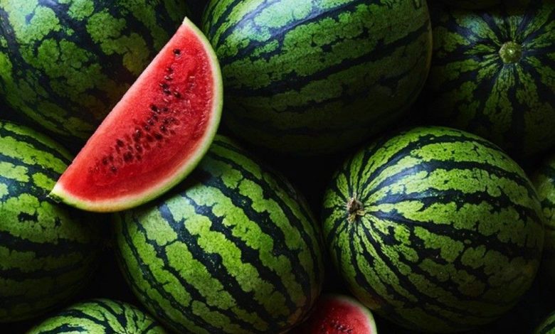 تسمم البطيخ