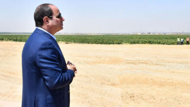 نشرة غذائي،بيع الأراضى المستصلحة