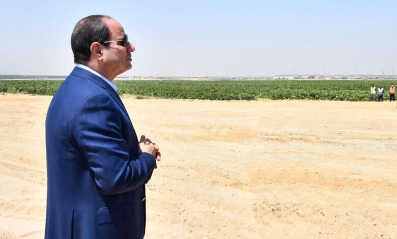 نشرة غذائي،بيع الأراضى المستصلحة