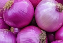 أسعار البصل الجديد بسوق العبور اليوم