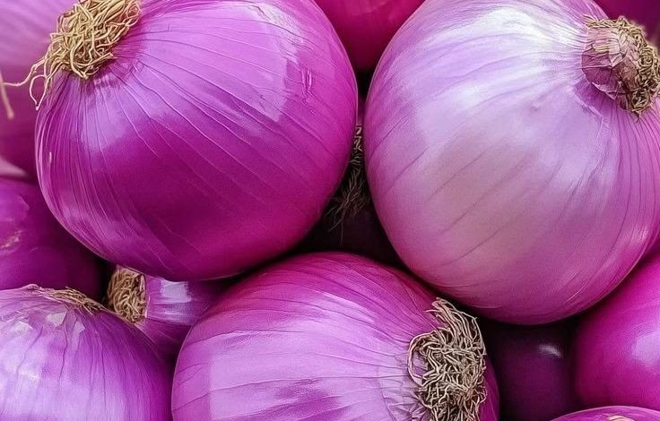 أسعار البصل الجديد بسوق العبور اليوم