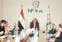 تعاون مصري كوري جديد في قطاع الصناعات الغذائية