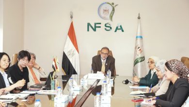 تعاون مصري كوري جديد في قطاع الصناعات الغذائية
