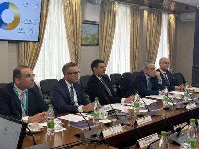 المنطقة الصناعية الروسية في قناة السويس