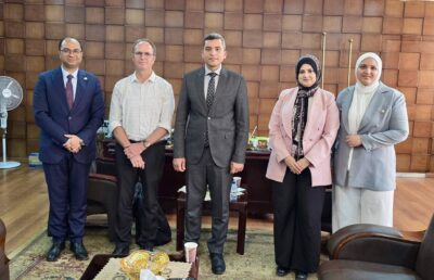   تقاوي البطاطس  