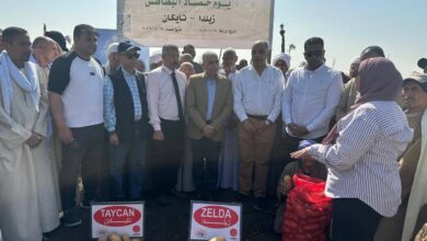 بطاطس «زيلدا» و«تايكان»