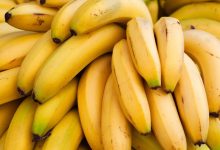 واردات الموز ، صادرات الموز، سوق الموز