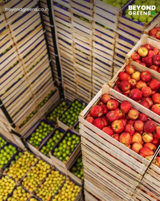 وكالة معايير الغذاء البريطانية  