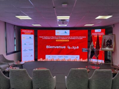 الصناعات الغذائية المصرية 