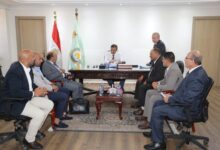 وزير الزراعة يطلق خطة لدعم منتجي بيض المائدة واستيعاب فائض الإنتاج 8 بيض المائدة