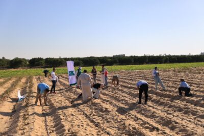 مصر الخير 