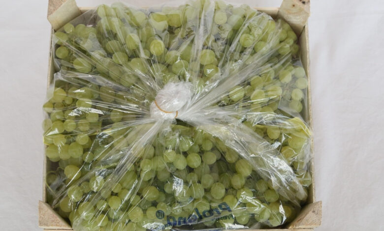 عنب المائدة