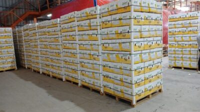 زيادة إنتاج التفاح 20% .. موسم التفاح المغربي يبدأ بتوقعات إيجابية رغم الأزمات المناخية 4 محطات التعبئة المصرية
