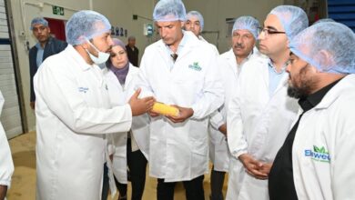 مصنع السويدي للصناعات الغذائية بالإسماعيلية