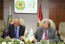 الرقابة على الصادرات