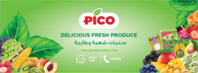 شركة pico 