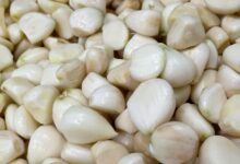 نظرة على سوق معجون الثوم العالمي 34 معجون الثوم العالمي