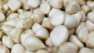 معجون الثوم العالمي