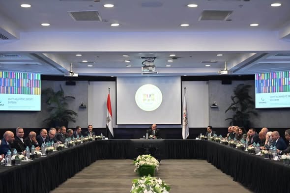 شراكة لوجستية بين مصر وموانئ دبي لدعم الصادرات في الأسواق الأفريقية