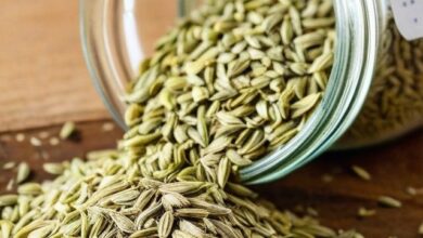 الشمر الصيفي الإيطالي، سعر طن الشمر