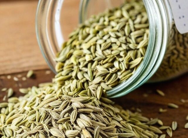 الشمر الصيفي الإيطالي، سعر طن الشمر