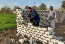 وزارة الزراعة