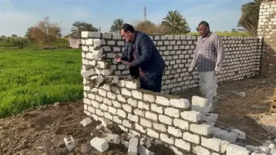 وزارة الزراعة تزيل 25 تعدياً على الأراضي الزراعية في يونيو 2025 9 وزارة الزراعة