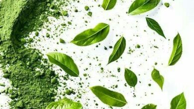 اتجاهات النكهات في صناعة الأغذية 2026