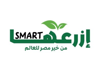 تطوير المحتوى التدريبي