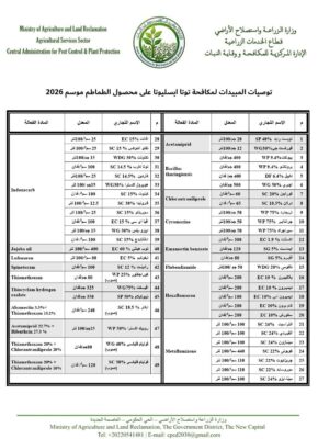  مكافحة حافرة الطماطم "توتا أبسليوتا" موسم 2026