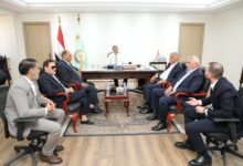 صناعة الدواجن