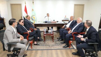 صناعة الدواجن