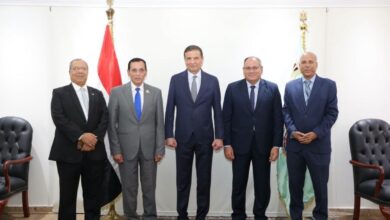تقاوي الطماطم F25