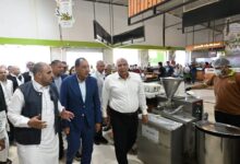 معصرة زيتون فيرجينيا