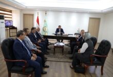تصدير الدواجن المصرية