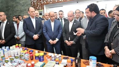 المنطقة الاستثمارية في بنها