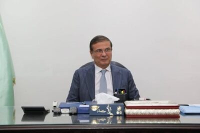 مصر والصين تتفقان على توطين صناعة المبيدات ونقل التكنولوجيا 2 صناعة المبيدات