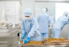 مجموعة «AGP» ، الصادرات الغذائية المصرية إلى روسيا