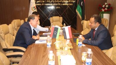 الصادرات المصرية إلى ليبيا
