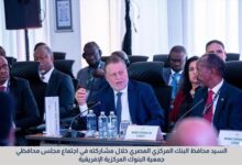 البنوك المركزية الإفريقية»