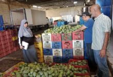 «تموين الإسماعيلية» تتحفظ على  6.6 طن فراولة ومانجو مخزنة