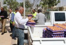   طرح بيض المائدة بتخفيضات 25% عبر منافذ وزارة الزراعة المتنقلة