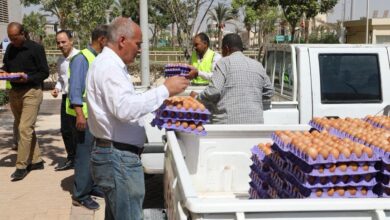   طرح بيض المائدة بتخفيضات 25% عبر منافذ وزارة الزراعة المتنقلة