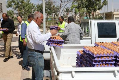   طرح بيض المائدة بتخفيضات 25% عبر منافذ وزارة الزراعة المتنقلة