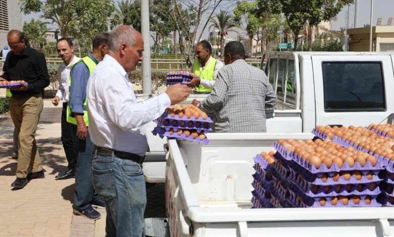   طرح بيض المائدة بتخفيضات 25% عبر منافذ وزارة الزراعة المتنقلة