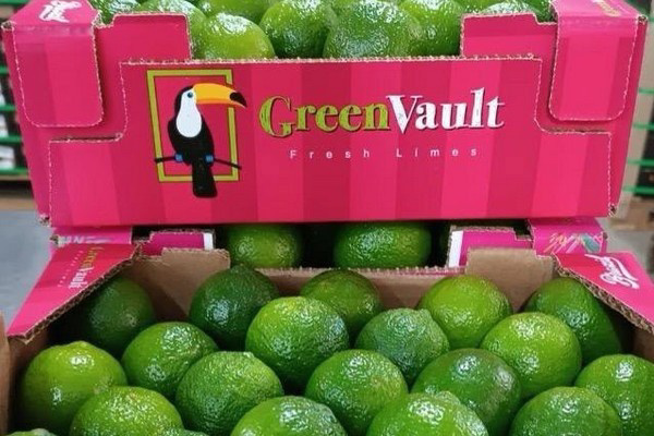 الليمون